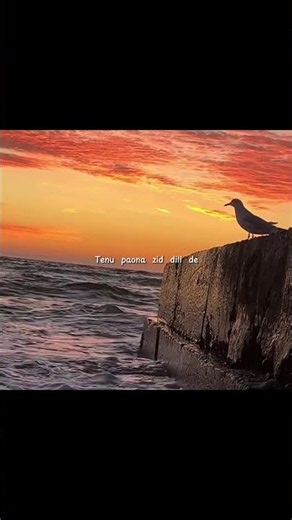 Sadi Sun - Harsh Nussi | 💔🌙 Aesthetic Status | Chill Vibezs