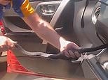VIDEO: Terrifying moment a red-bellied black snake is pulled from a car | Daily Mail Online