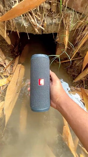 jbl essential bass test