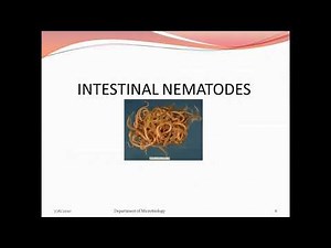Intestinal Nematodes Part I