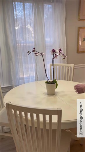 We love the charming, flowery tablescape @mariasgoingout set with her Kohl’s home decor finds. kohls.co/4bB1KZB | Kohl's