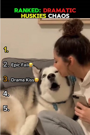 Ranked: Dramatic Huskies Moments Compilation