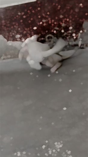 No face no case ✅ (@itxfarzand)’s videos with original sound - No face no case ✅