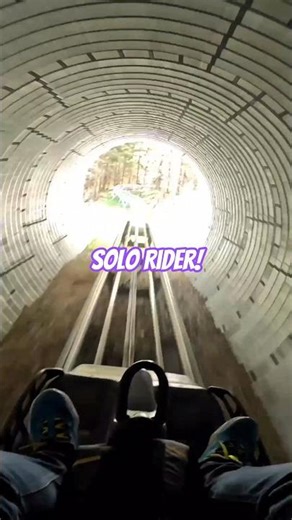 POV: High-Speed Mountain Coaster Descent! 🎢🌲