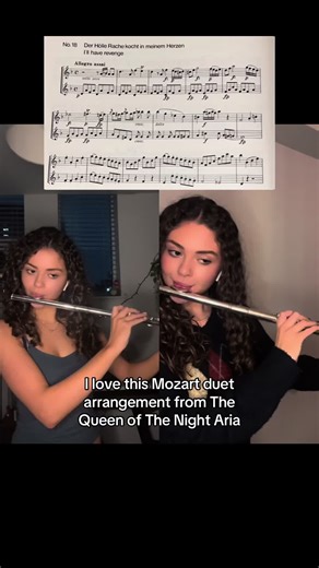 Enchanting Flute Duet Arrangement of Mozart's Aria
