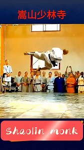 Shaolin Wushu Yingzhaoquan | Jiayoo Wushu