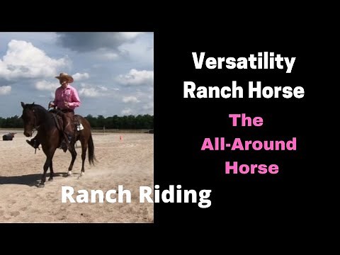 VRH Ranch Riding | Ranch Horse Competition (How It Is Scored)