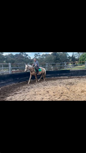 2.2K views · 50 reactions | Thank you from the bottom of my heart Stephen Field! For always putting in the first ride on my horses and look forward to the next couple of days | Zoe Mullens | Facebook