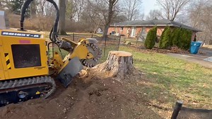 3.8K views | Special thanks to pro finish tree care for this one today on Indy’s west side | Stone stump removal | Facebook