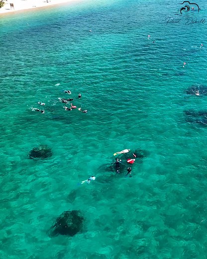 The Phil Foster Park Artificial Reef and Snorkel Trail is an 800-foot-long tract of artificial reef incorporating more than 600 tons of Anastasia rock boulders in a depth ranging from six to ten feet. This was a perfect day to check it out. Filmed 2/13/2024 in Riviera Beach, Florida. | Paul Dabill Photography
