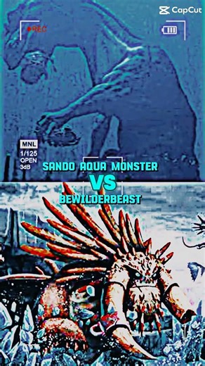 Sando aqua monster vs Bewilderbeast