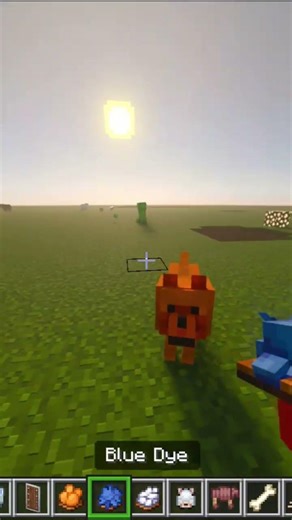 Multi-Colour Wolf's #minecraft #funny