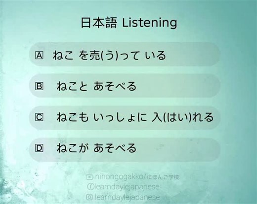 Learn Daily japanese on Instagram: "Improve your Japanese listening skills with this short and simple JLPT listening practice! 🇯🇵 ‎Listen carefully, repeat after me, and try to understand each sentence naturally. ‎Perfect for beginners who want to build confidence in daily Japanese conversations. 🌸 #jlpt #mocktest #listening"