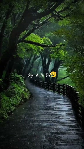 Haye Mera DIL Lyrics | Alfaaz Feat Yo Yo Honey Singh | Speed Records | Honey Singh Old Songs