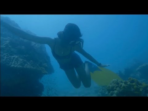 Sexy Asian Girl Swimming Underwater With Yellow Monofin (Freediving)