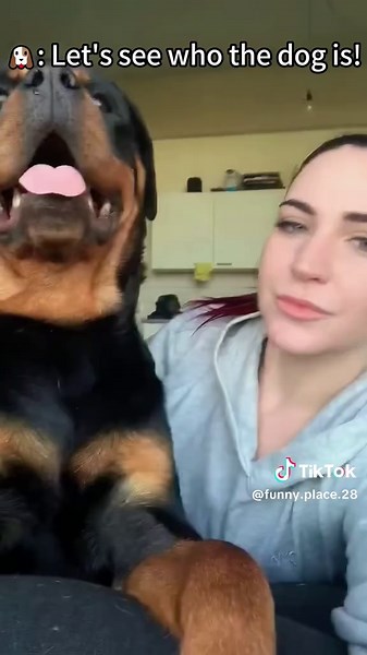 Ryan Haruon on TikTok