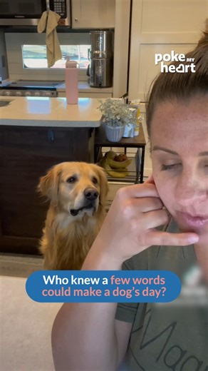 When all your favorite words come together, it's impossible to resist #doglife #doglover #pets | Poke My Heart