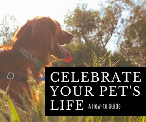 How to Celebrate Your Pet's Life With a Wiccan Ritual