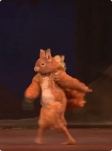 Ballet Squirrel
