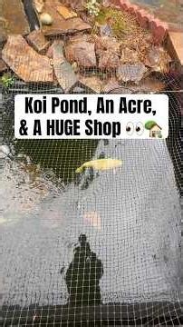 Koi Pond, Huge Shop & Nearly an Acre – Dream Property in Snohomish, WA | Home Tour