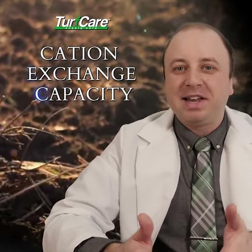 What is Cation Exchange Capacity (CEC) in Soil? | Lawn and Soil Science | JoeKNOWS!