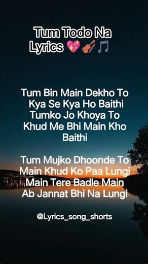 Tum Todo Na _Lyrics_song 💖🎻🎵Sad Song #lovesong🥰💖