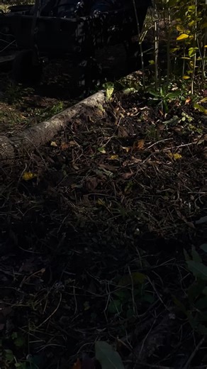 Rotglow Research Farm & Nursery on Instagram: "This is how we 𝙝𝙚𝙚𝙡 𝙞𝙣 bare root trees. 𝙃𝙚𝙚𝙡𝙞𝙣𝙜 𝙞𝙣 is a method for storing bare root trees while you're waiting to plant. It is very simple and can be done at scale in a garden bed, by the side of the house or in a backyard. You are simply burying the roots in a shallow trench. Dig a small trench, with one wall upright and the other at a low angle. Place the dirt to the side of the trench. Lay the plants down in the trench and cover t