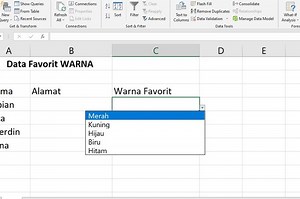 Cara Membuat Drop Down List di Excel dengan Mudah, Lengkap Cara Hapus - Sonora.id