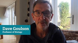 14K views · 116 reactions | It’s time to shine a light on unsung...