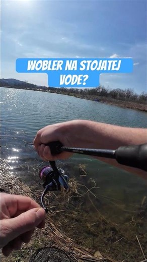 Dúhak na wobler