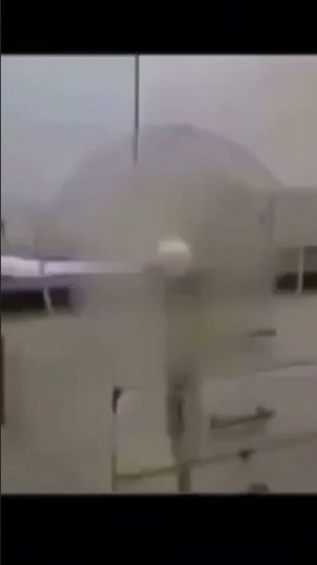 How to Basic fish￼