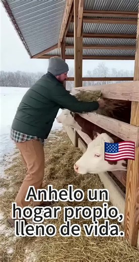 Embracing Single Life as a Country Guy