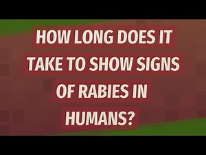 How long does it take to show signs of rabies in humans?