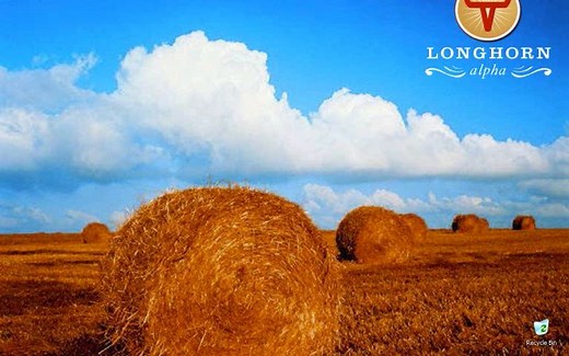 Windows Longhorn 发展史
