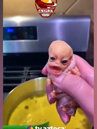 Increíble avistamiento de alienígena captado en video - ¿Real o falso?