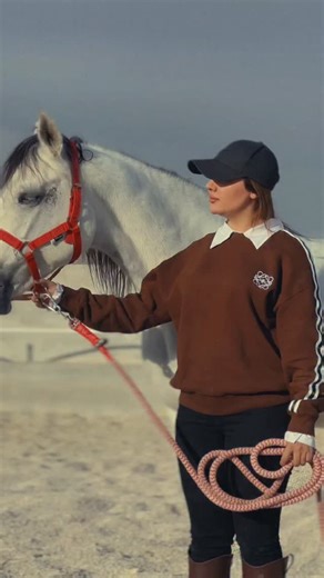 [н][α][и] on Instagram‎: "روبینا🤍🐴 @kourosh_moradi_ @mohammadbazyar.art @jasemkhodarahmi_music #اسب_عرب #اسب_سواری #اسب_اصیل مدلینگ"‎