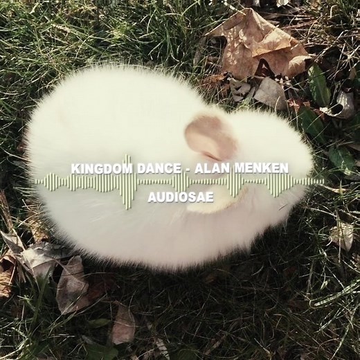 #audio #audiosforedits #edit #editaudio #audioss #aeedit #comfortaudio #fyp #blowthisup #blowup #aftereffects