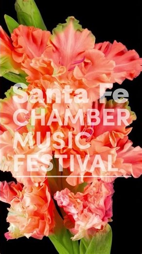 A little #PeaceOfMind with #tchaikovsky with #springflowers come to the #festival #santafe #sfcmf