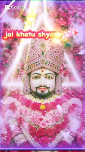 #guess #sehar #petshub #adiaava #bome