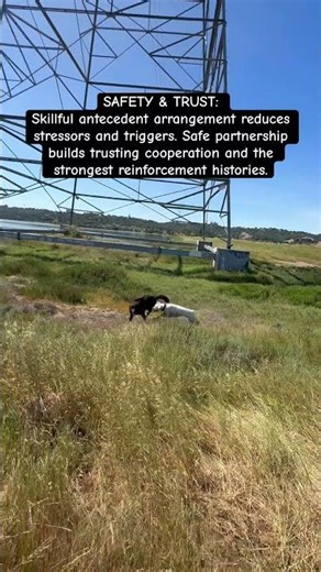 TRUST IS THE CORNER STONE OF ANY STRONG RELATIONSHIP #STRONGESTREINFORCEMENTHISTORY