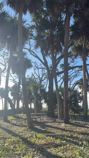 1.9K views · 202 reactions | It’s 78° in a picture perfect day to head to the beach! Are you planning to get in the water today? ☀️️ @huntingislandsc | Eat Stay Play Beaufort | Facebook