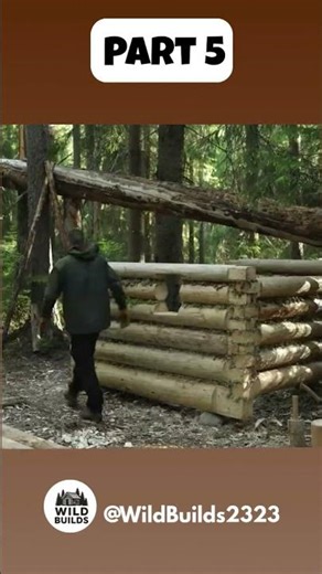 WILD FOREST BUILDING RAW HANDMADE CONSTRUCTION | WILDBUILDS