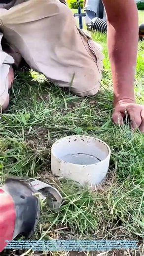 Snipping the Sprout: How to Neatly Terminate a Lawn Irrigation Line