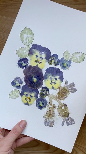 Art in Bloom! 🌸🌿 Let’s create an enchanting botanical print using the natural beauty of Pansies, Lavender, and Rose Leaves. #botanicalart #hammeredflowers #naturalprint #ecoart #flowers #hammerflower | hammerflower