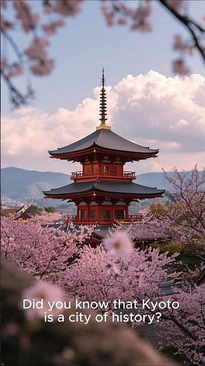 Why Kyoto Is the Coolest City in Japan!