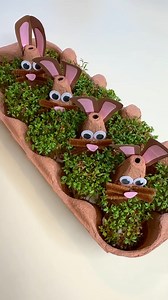 8.6K views · 3.6K reactions | Grow your own bunny garden    This...