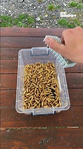 GLOCK 19 C (Compensated) SOUNDS #glock #asmr #pistol #guns #reshoot