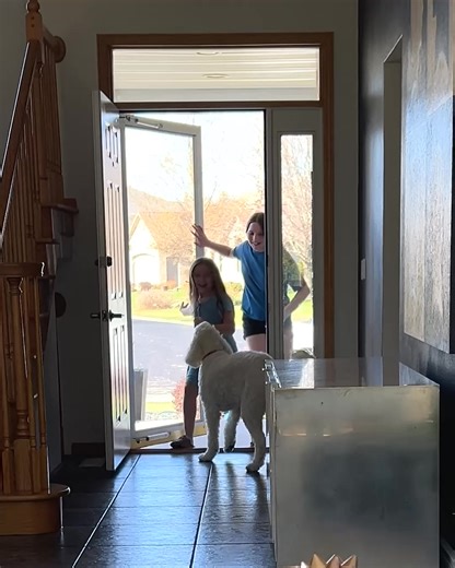 1.5K views | The story game that comes to life! Uzzle Tales turns reading into an interactive adventure that builds real skills while your kids play along.  Encourages reading & comprehension 易 Builds logic, focus & problem-solving  Perfect for ages 4+ ‍‍‍ Designed for family bonding at storytime 里 20+ stories for endless replay | Uzzle Games | Facebook