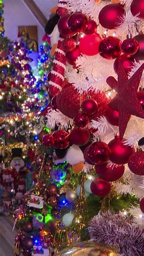 Christmas tree world record