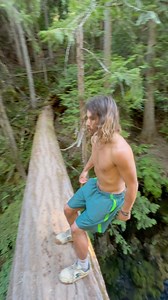 3.5M views · 109K reactions | The trees… shhh #cliffjumping #travel #adventure #hiking #forest | Dmteezy Connected Page | Facebook